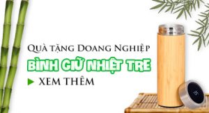 binhgiunhiet 1